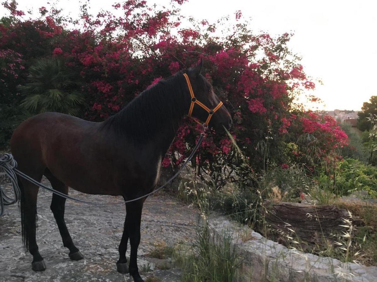 Country Sicily Home Favara Zewnętrze zdjęcie