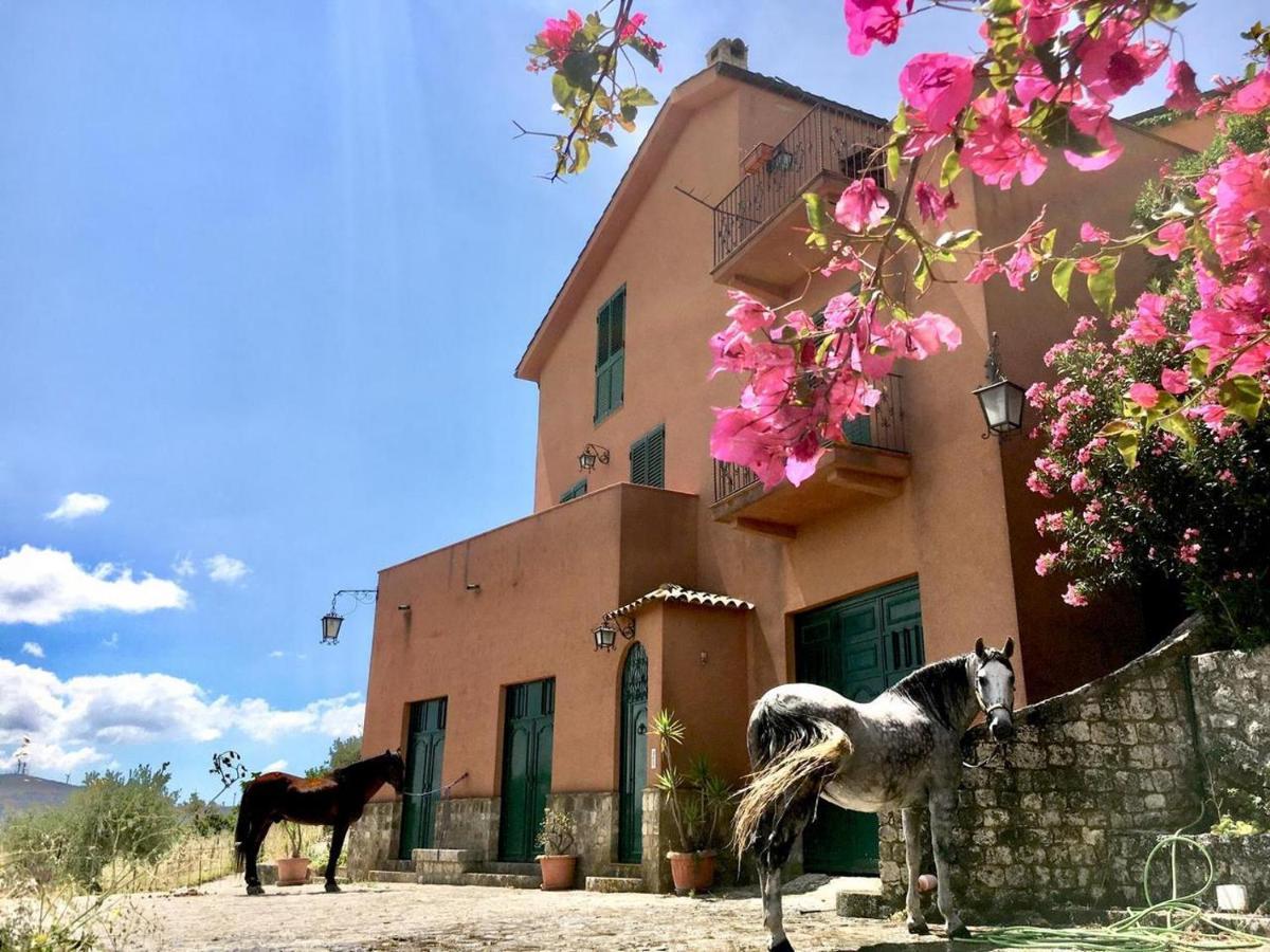 Country Sicily Home Favara Zewnętrze zdjęcie